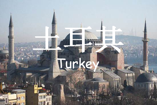 土耳其